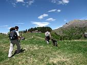 Facile, panoramica, bella escursione su strada sterrata da Avolasio ai Piani d’Artavaggio il 2 giugno 2010 - FOTOGALLERY